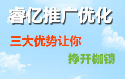 睿億推廣優化