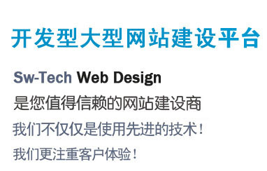 尚武科技-開發型大型網站建設平臺