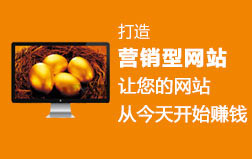 打造營銷型網站